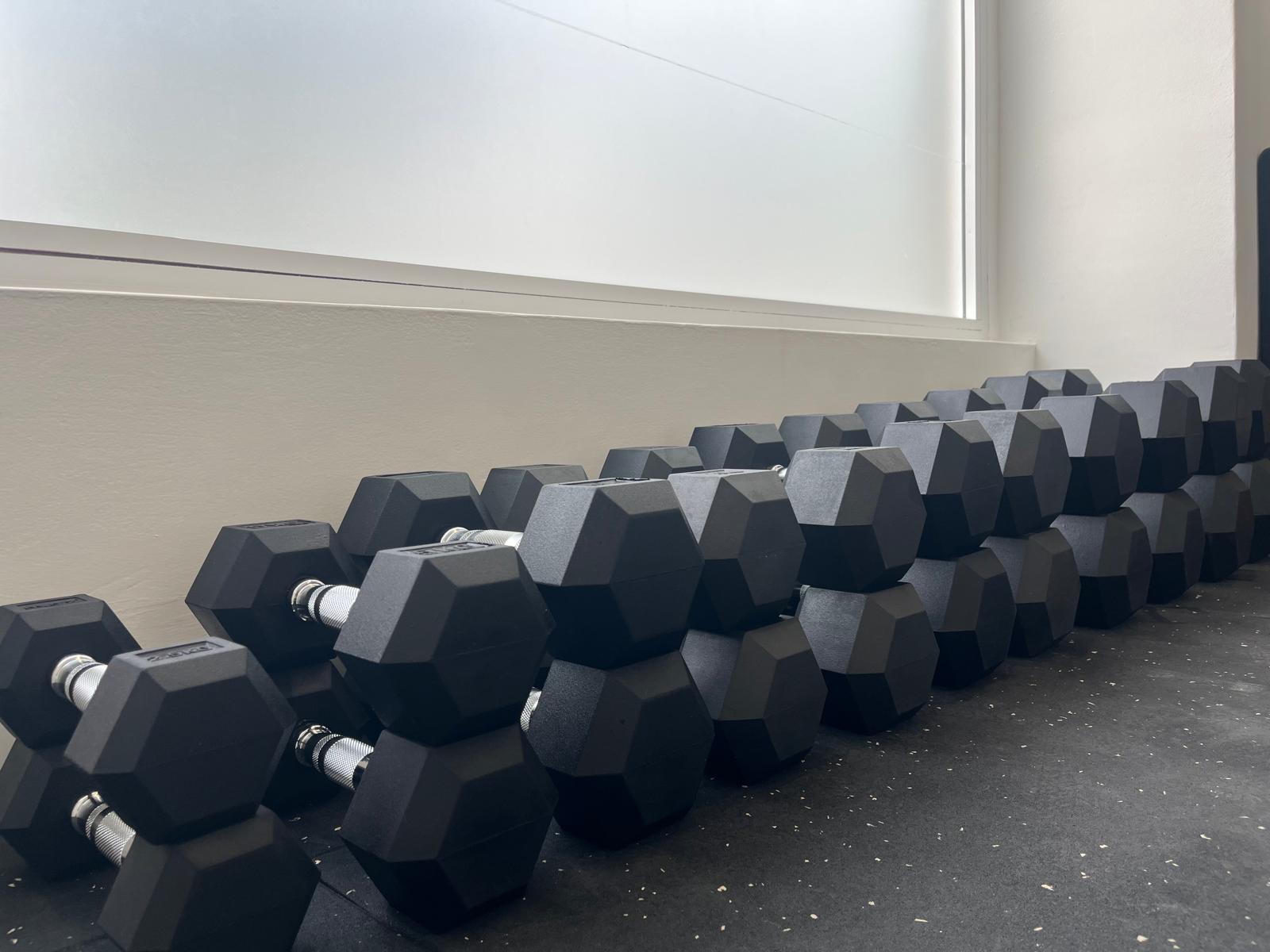 Mancuernas para entrenamiento de fuerza en FisioActif Murcia